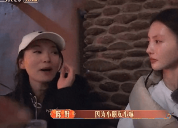 陈好罕见在节目首聊家庭公开了三胎是儿子6岁儿子出镜可爱 陈好罕见在节目首聊家庭公开了三胎是儿子6岁儿子出镜可爱