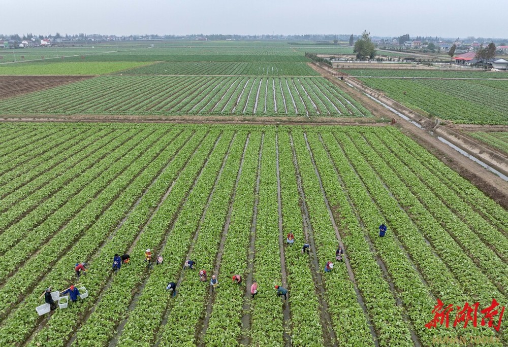 全国网络媒体“湖南e周”主题宣传采访团深入沅澧大地盛赞：“常德是个好地方”(图6)