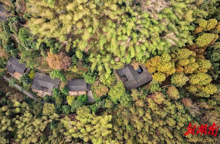 全国网络媒体“湖南e周”主题宣传采访团深入沅澧大地盛赞：“常德是个好地方”(图3)