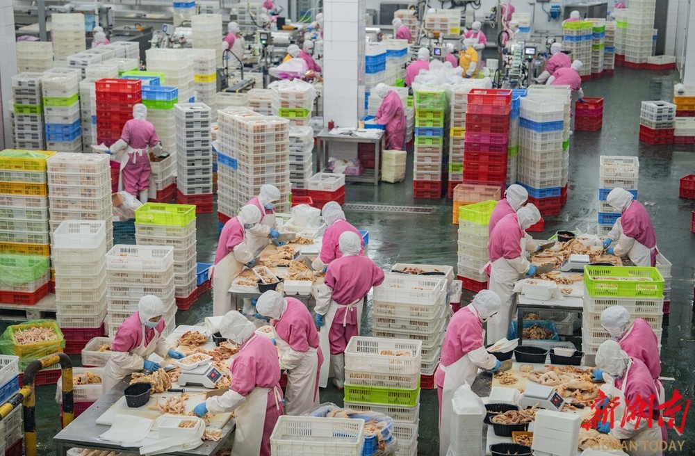 全国网络媒体“湖南e周”主题宣传采访团深入沅澧大地盛赞：“常德是个好地方”(图5)