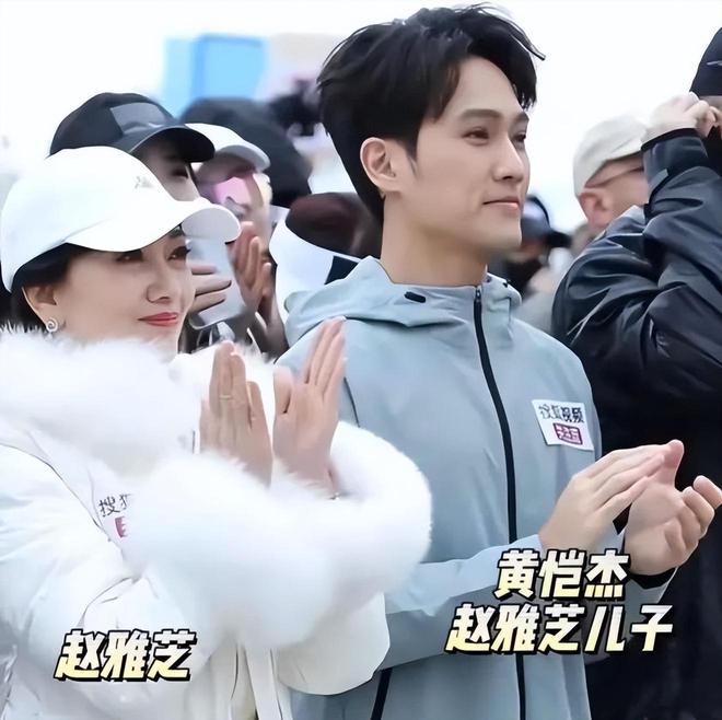 叶童没孩子悲哀赵雅芝儿子执着啃老更糟心72岁帮站台还被嫌弃(图14)