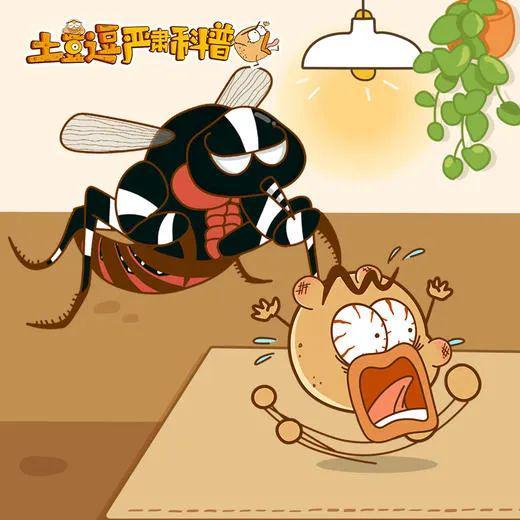 一集就戳中孩子的心！土豆逗严肃科普动画每个孩子都忍不住二刷(图8)