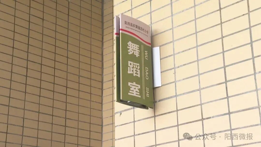 乡村公益文艺之光照亮阳西乡村孩子成长路(图11)